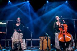 Final del Concurs Sons a la Fira Mediterrània de Manresa amb Alosa, Aluca i Arar 